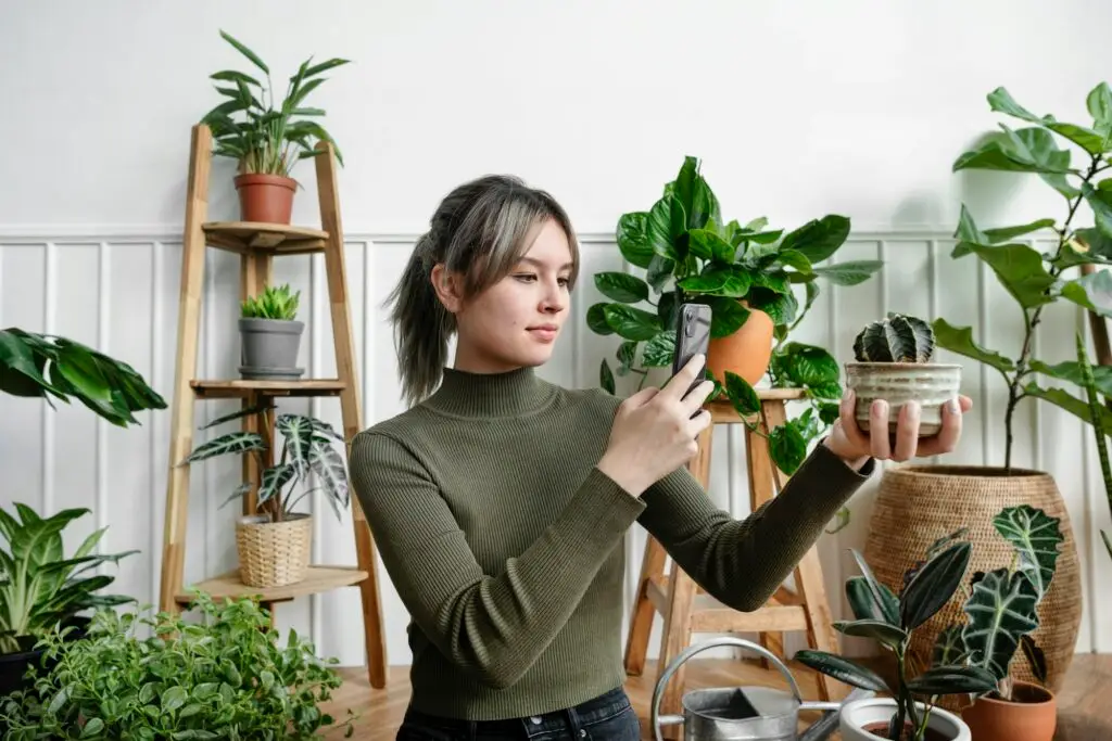 Woman taking a snapshot of her plant for social media